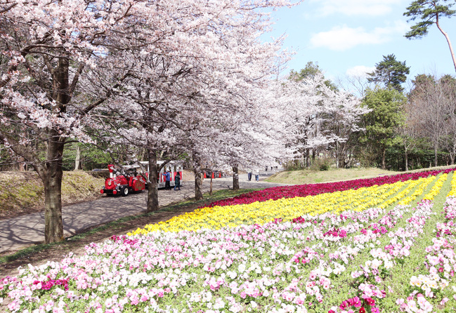 とっとり花回廊　入園券2組4名様にプレゼント！   