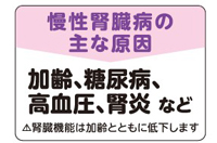 元気のための基礎知識・慢性腎臓病の主な原因
