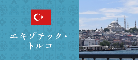 ミニバナー-コラム-トルコ