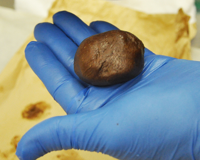 0318_マシュマロを包む