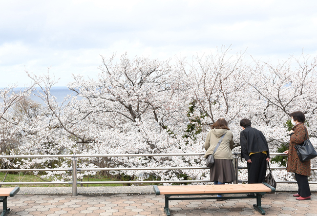 R手引ケ丘公園4.3