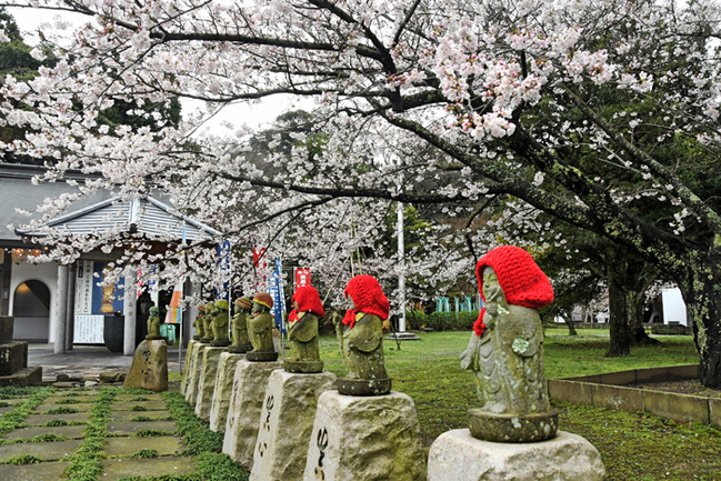 一畑薬師（出雲市小境町／佐野卓矢撮影）20244.4