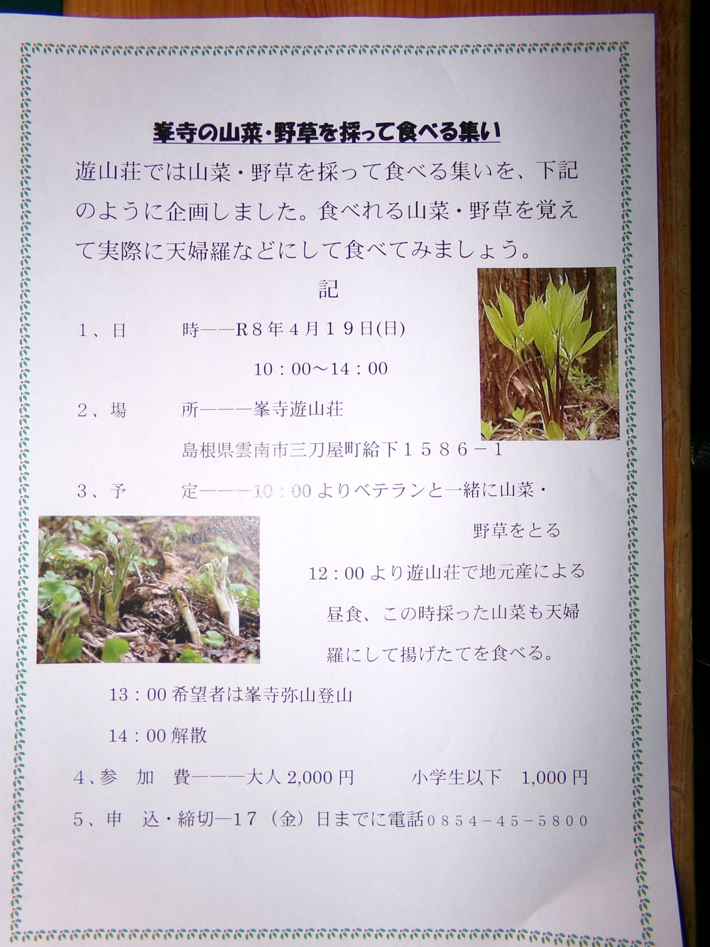 山菜野草を採って食べる集い