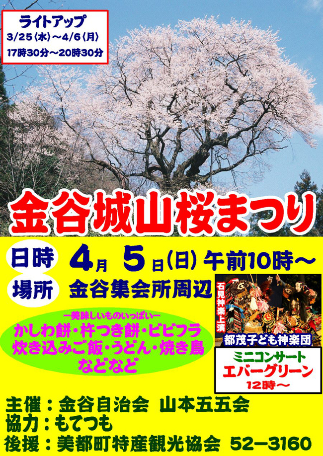 ☆金谷城山桜まつり