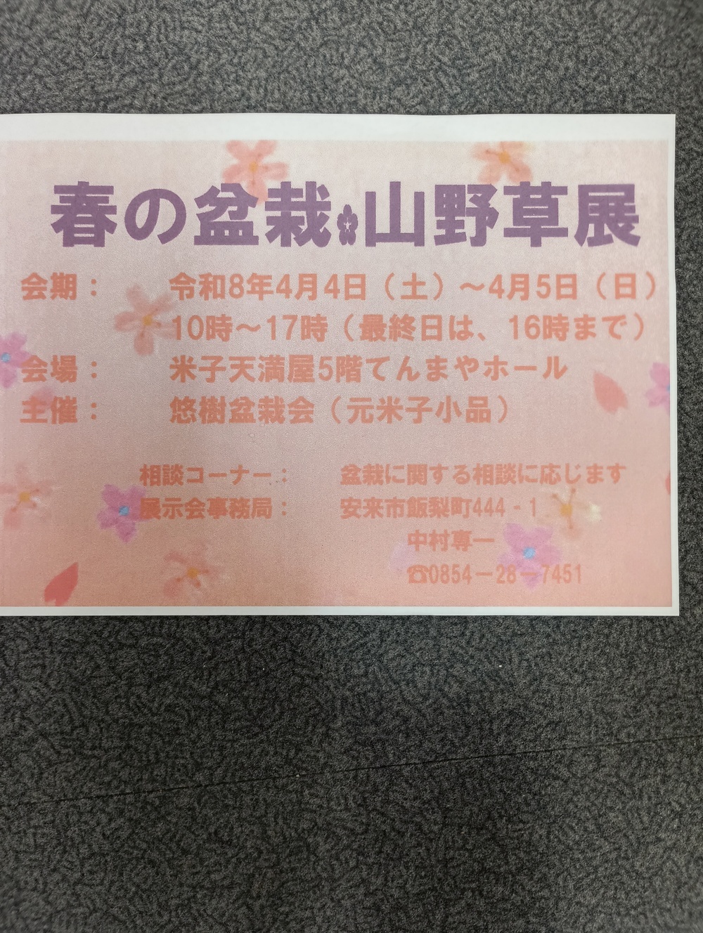 春の盆栽：山野草展