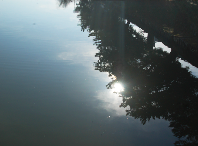 ばけばけ日記-09