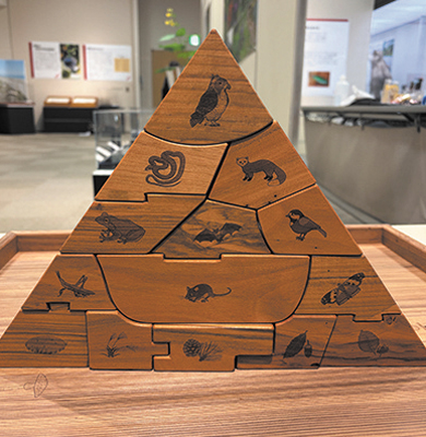 R生きものピラミッド