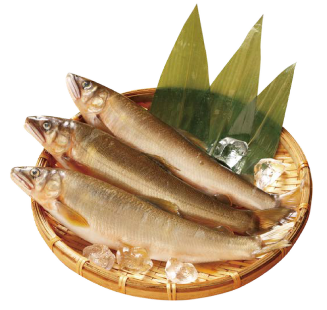 今こそ石見へ山陰道開通-01