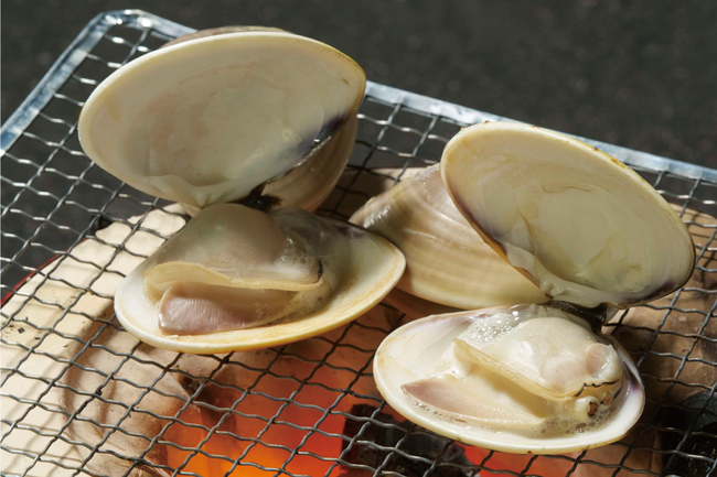 今こそ石見へ山陰道開通-07