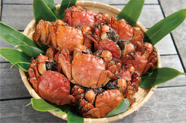 今こそ石見へ山陰道開通-09