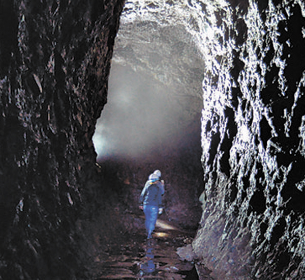R世界遺産センター