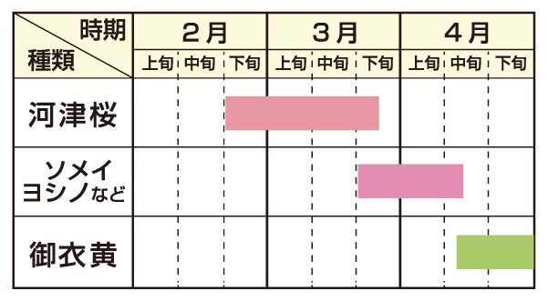 雲南_桜まつり-開花カレンダー