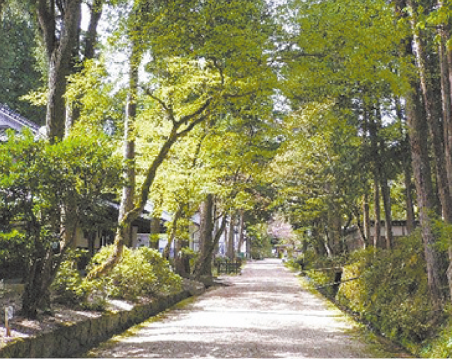 春の雲南を歩こう-絲原記念館