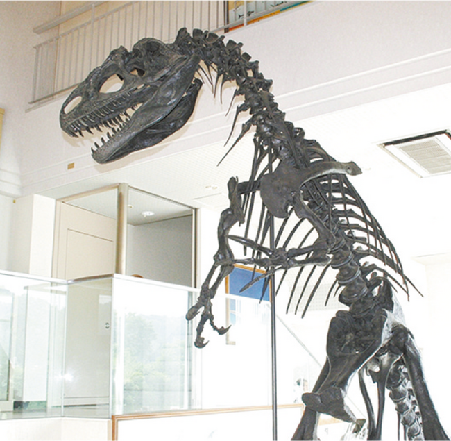 春の雲南を歩こう-多根自然博物館