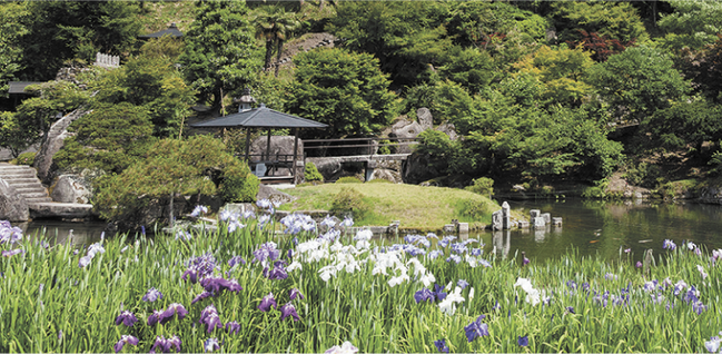 春の雲南を歩こう-石照庭園_庭