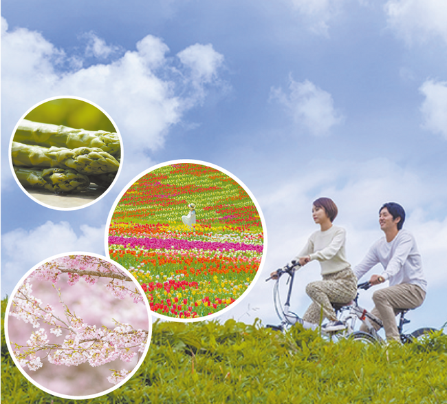 広島-道の駅世羅　イメージ