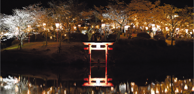 広島-上野公園桜まつり1