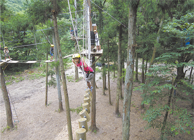 広島-大鬼谷ツリーアドベンチャー01