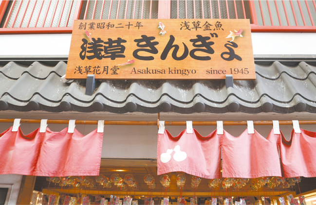 萩・石見空港で行く東京観光-きんぎょ2