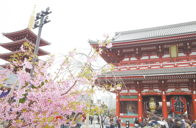 萩・石見空港で行く東京観光-宝蔵門