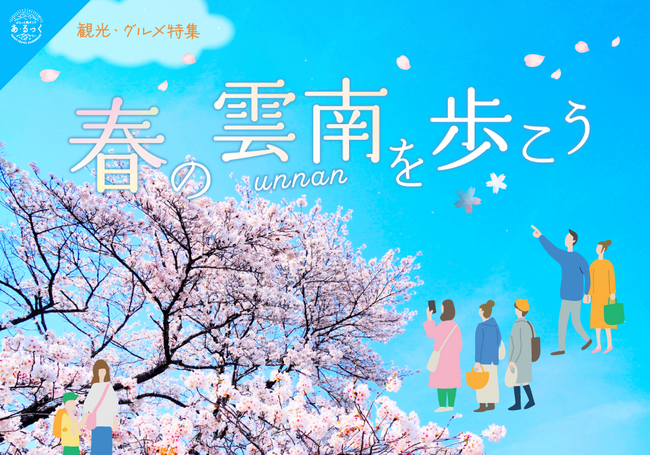 春の雲南を歩こう