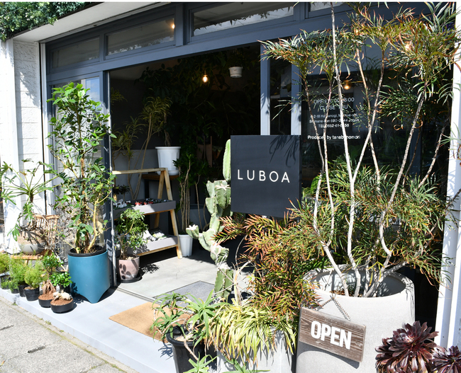 LUBOA・外観２