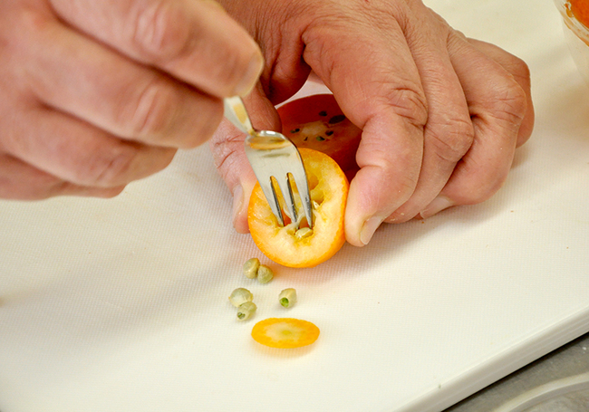 0408_鶏むね肉と春菊のサラダ_キンカン