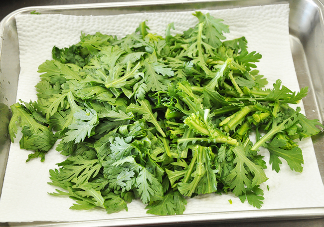 0408_鶏むね肉と春菊のサラダ_春菊