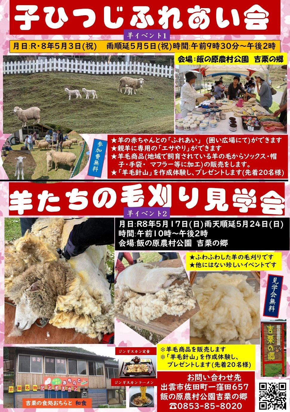 羊たちの毛刈り見学会