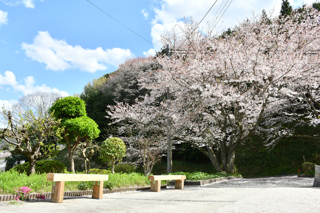naturalcafe・庭