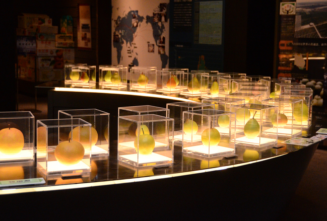 親子で倉吉・なしっこ４