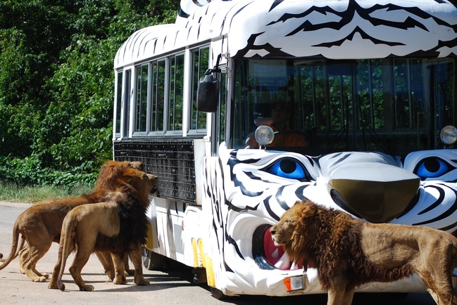 【秋吉台自然動物公園 サファリランド】”マイカーコース” 入園券をペア1組様にプレゼント！！ 