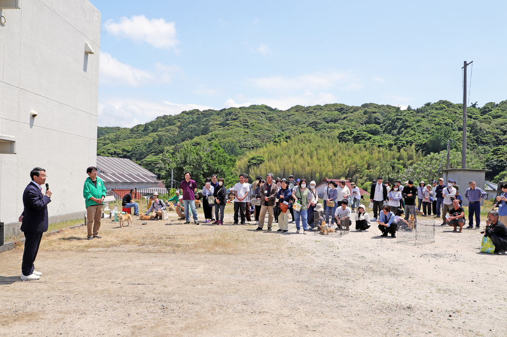 山陰柴犬鑑賞会
