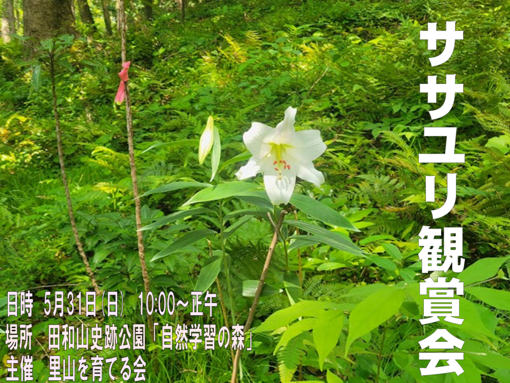 ササユリ観賞会