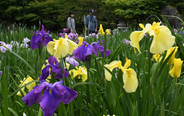 R石照庭園