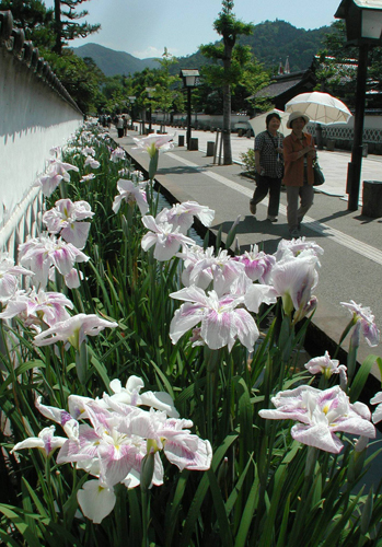 R津和野
