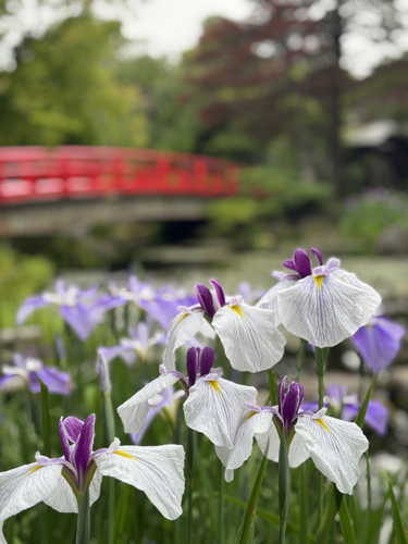 R由志園