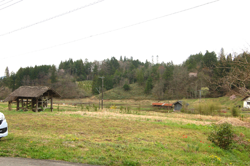 RDSC_1525