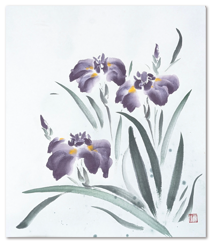 0622_花菖蒲