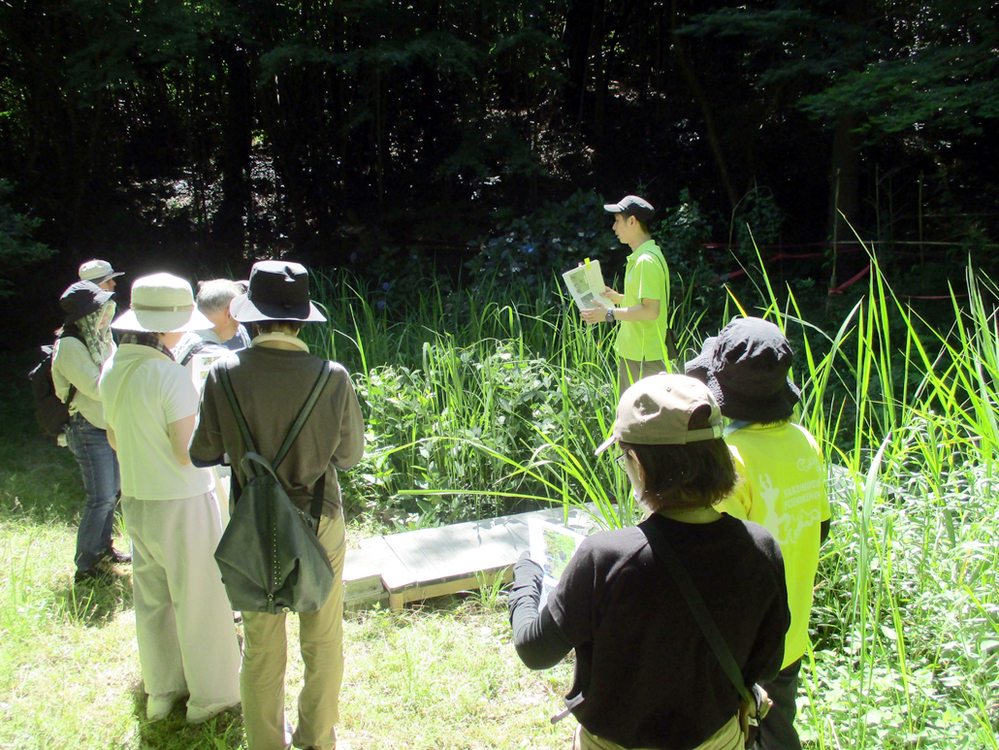夏の風土記植物園教室　～植物園散策と健康茶づくり～