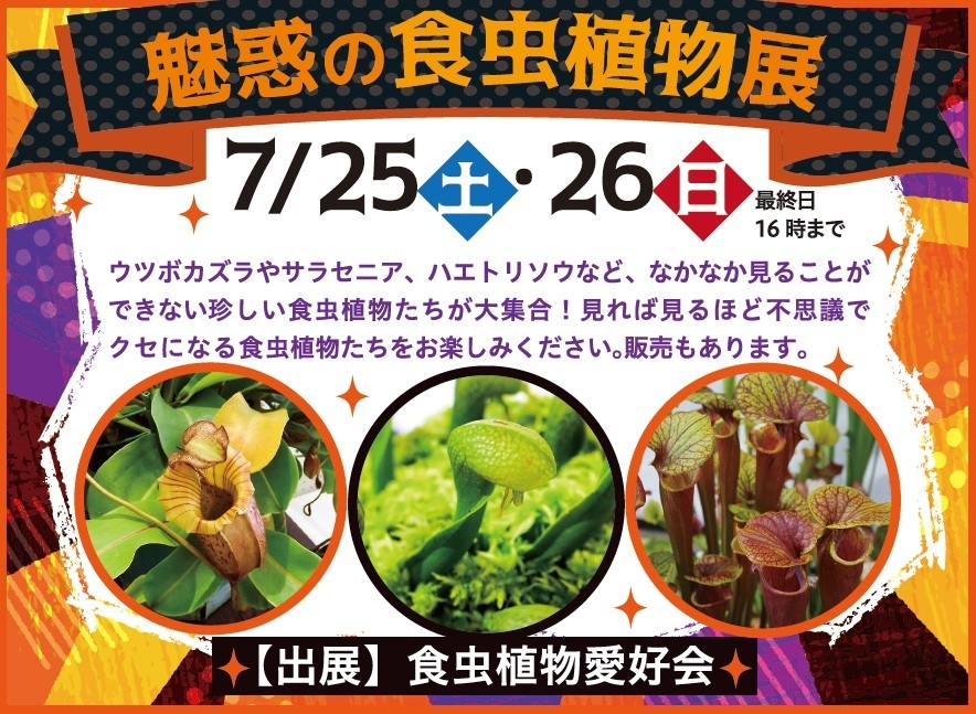 魅惑の食虫植物展