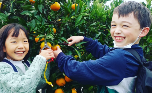 【やすぎ観光みかん園】みかん狩り（みかん1kgのおみやげ付き）招待券をペア2組様にプレゼント！ 