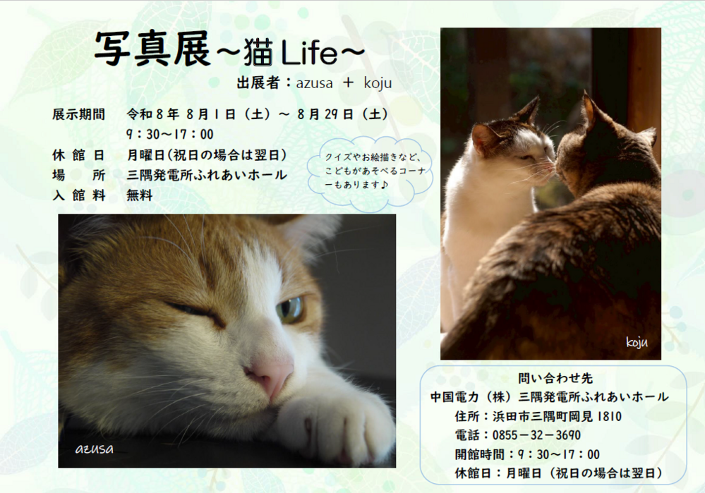 写真展「～猫Life～」