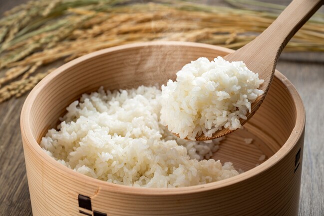 【５】安来市産コシヒカリ 5kg ／ 山陰中央新報社　読者局