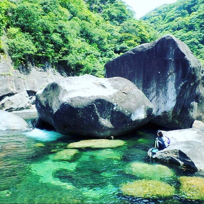 0818_HPコラム屋久島_写真2