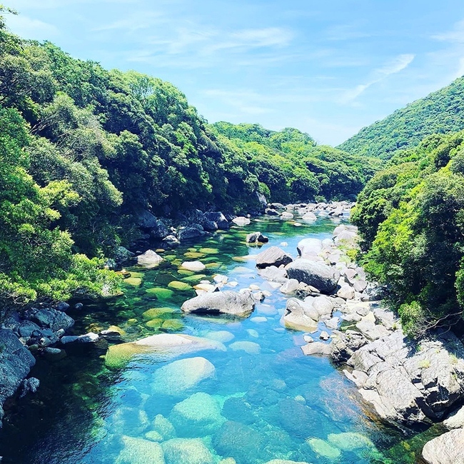 0818_HPコラム屋久島_写真1