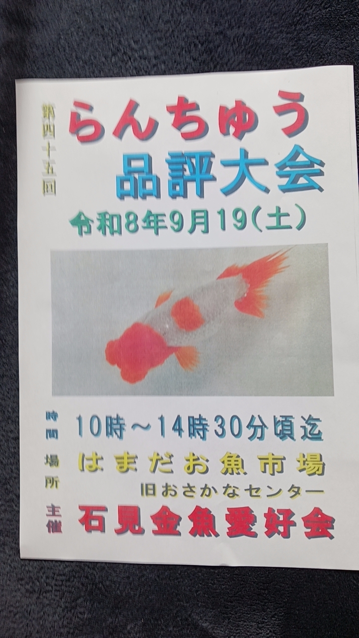 第４5回らんちゅう品評大会