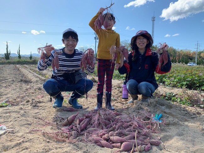 【夕日の見える  西浜ファーム】芋掘り体験チケットを3組様にプレゼント！