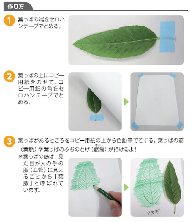 親子でサイエンス8月号