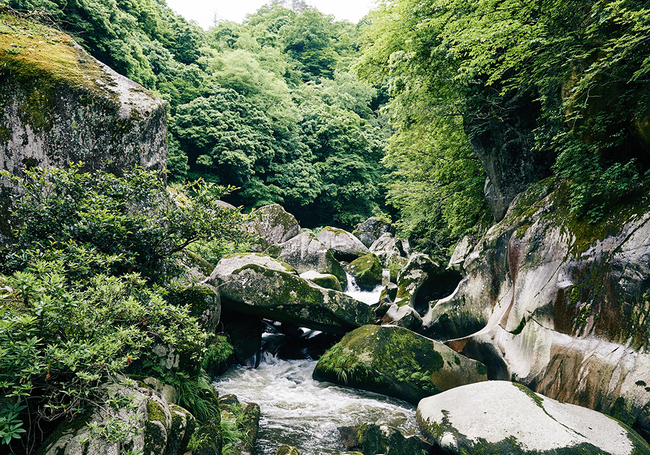 鬼の舌震1